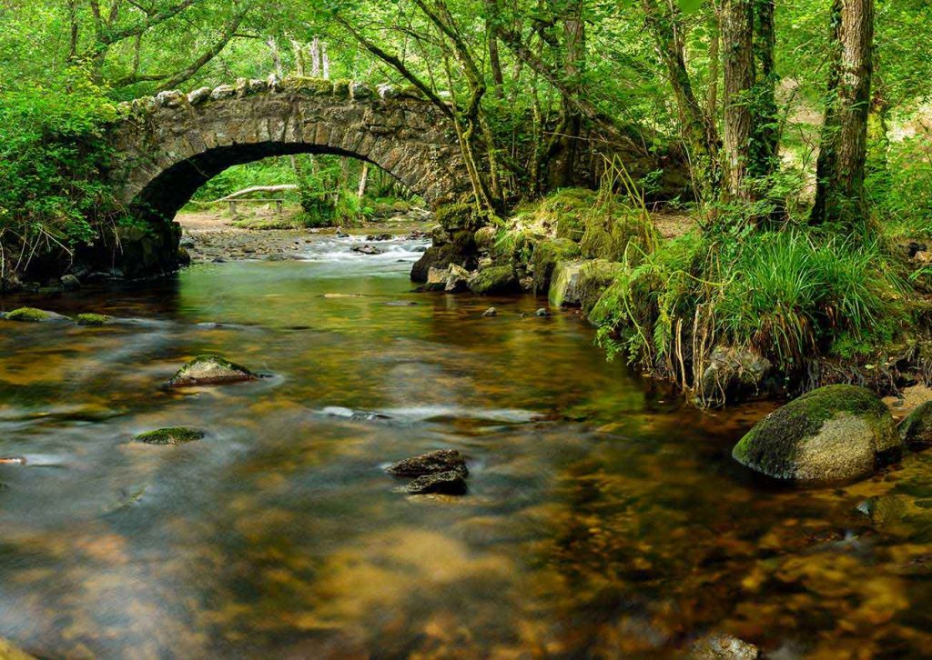 trout fishing stream, fly fishing lessons
